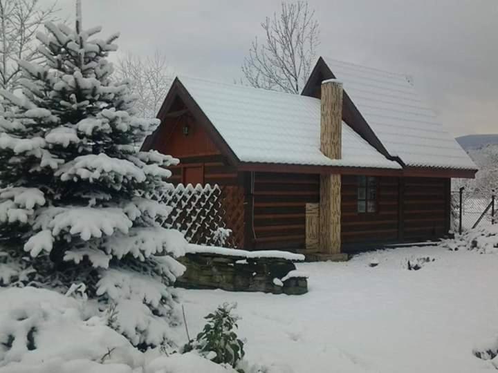 Agroturystyka W Ogrodach Sanok Exterior foto