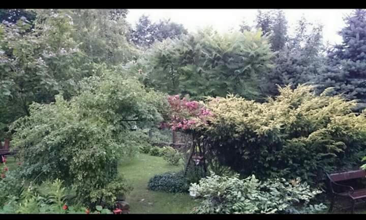 Agroturystyka W Ogrodach Sanok Exterior foto